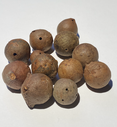 A collection of oakgalls