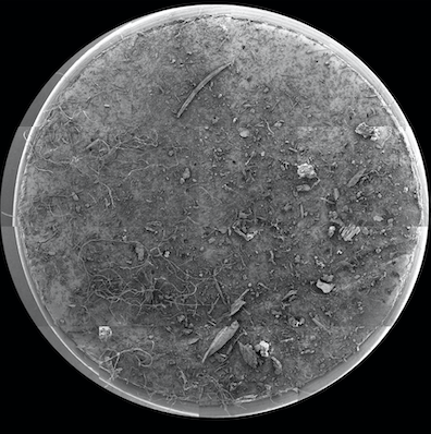 microscopic image of dust in a petri dish